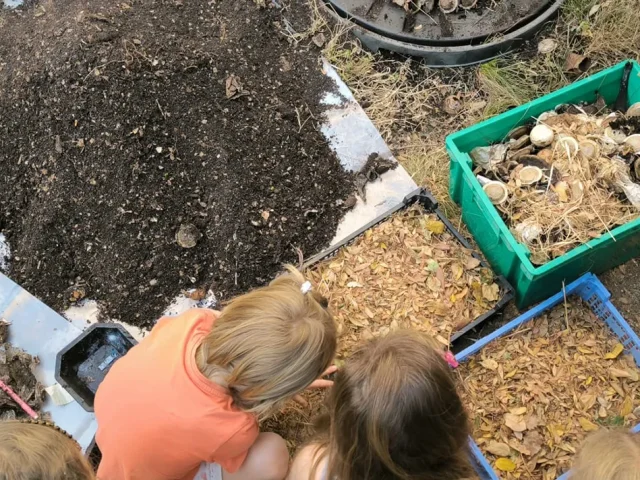 sensibilisation-au-compostage-porto-vecchio